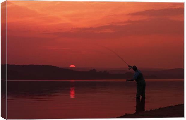 Catching The Sun Canvas Print by David Lewins (LRPS)