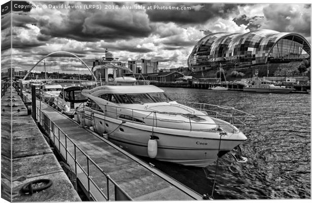 Coco on the Tyne Canvas Print by David Lewins (LRPS)