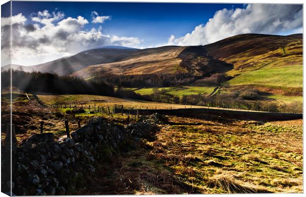 The Cheviot, Northumberland National Park. UK Canvas Print by David Lewins (LRPS)