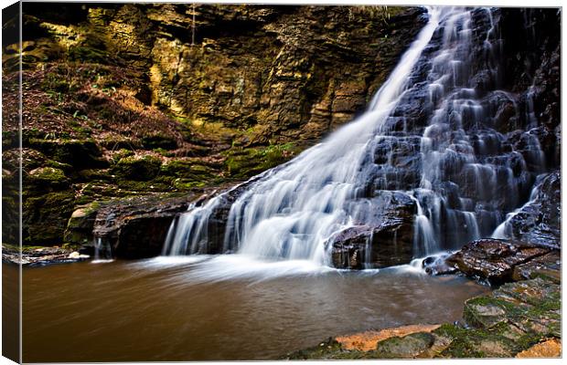 Hareshaw Linn, Bellingham, Northumberland. Canvas Print by David Lewins (LRPS)