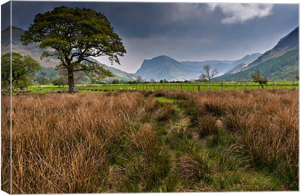 Fleetwith Pike, Buttermere Canvas Print by David Lewins (LRPS)