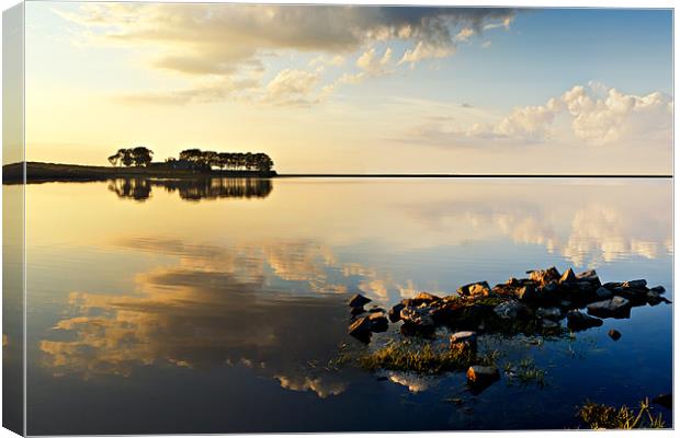 Smiddy Shaw Reservoir, Consett Canvas Print by David Lewins (LRPS)