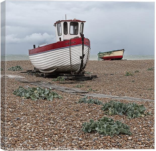 Rebecca, Dungeness, Kent Canvas Print by Dave Turner