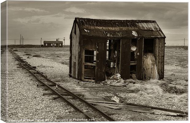 Fisherman's Shed, Dungeness Canvas Print by Dave Turner