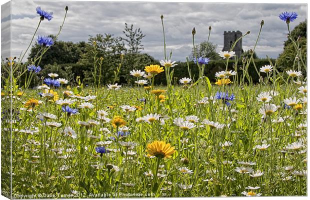 English Country Wildflower Meadow Canvas Print by Dave Turner
