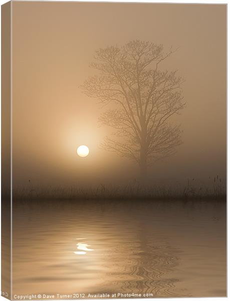 Tranquility Canvas Print by Dave Turner