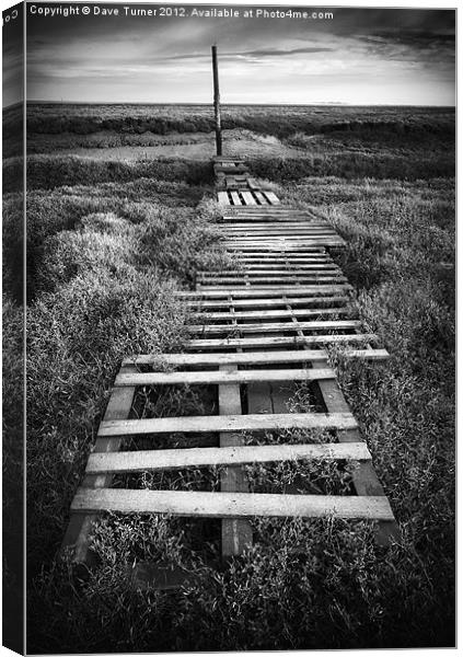 Thornham Salt Marsh, Norfolk Canvas Print by Dave Turner