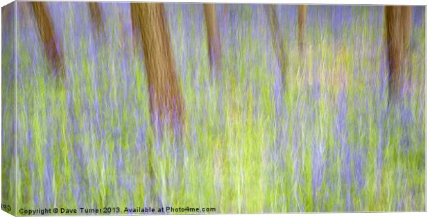 Bluebell Wood, Norfolk Canvas Print by Dave Turner