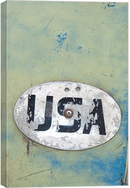USA Canvas Print by Dave Turner