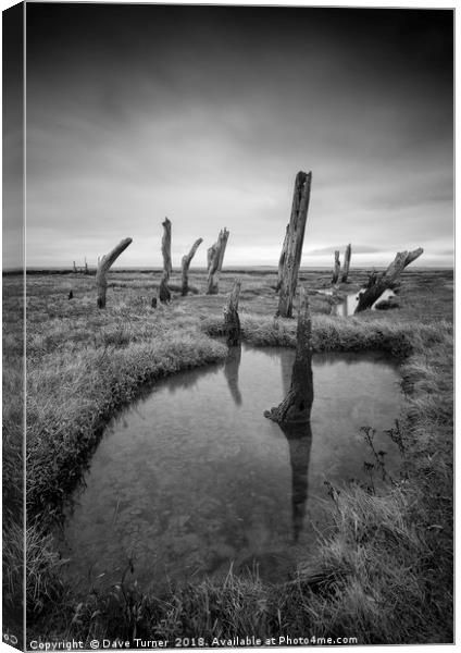 Thornham Marsh, Norfolk Canvas Print by Dave Turner