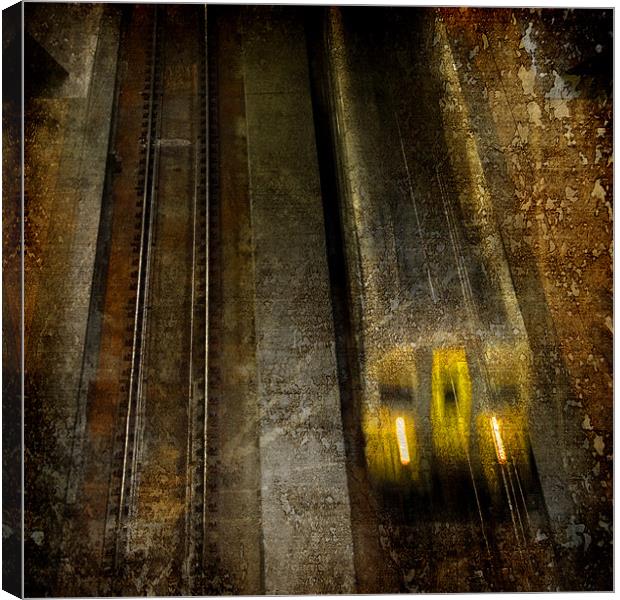 The Train ..... Canvas Print by Dave Turner