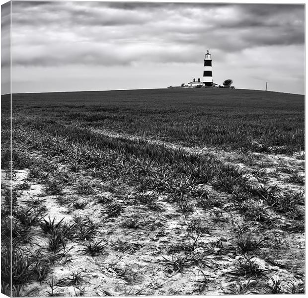 Happisburgh Lighthouse, Norfolk Canvas Print by Dave Turner