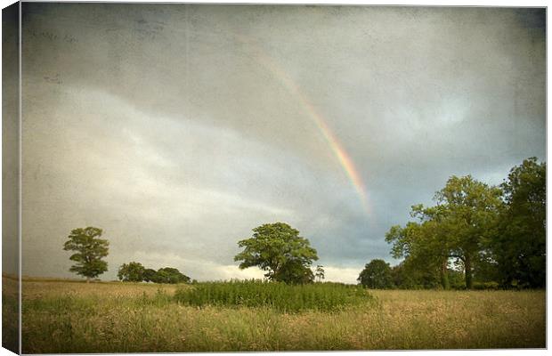 Rainbow over Wramplingham, Norfolk Canvas Print by Dave Turner
