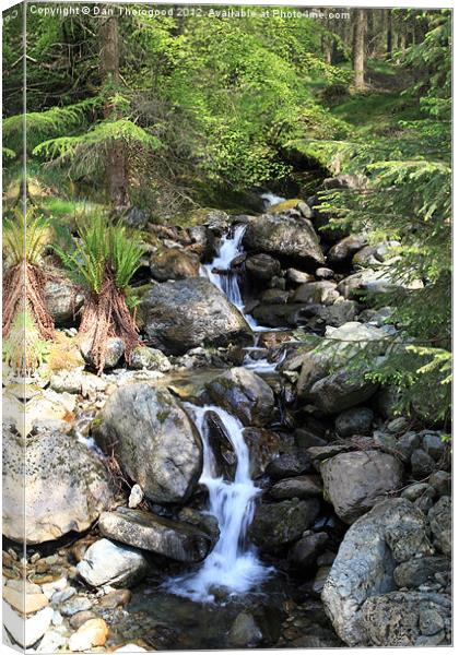 A woodland waterfall Canvas Print by Dan Thorogood