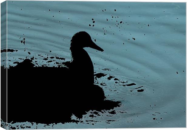 Abstract duck Canvas Print by Dan Thorogood