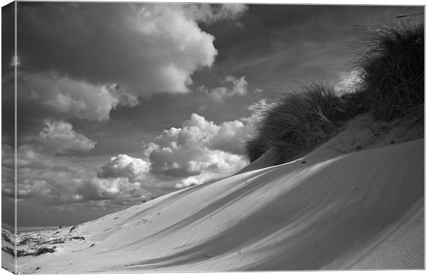 Dunes And Shadows Canvas Print by Robert Geldard