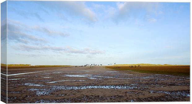  As Geese Fly Canvas Print by Robert Geldard