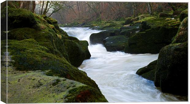 In A Rush  Canvas Print by Robert Geldard