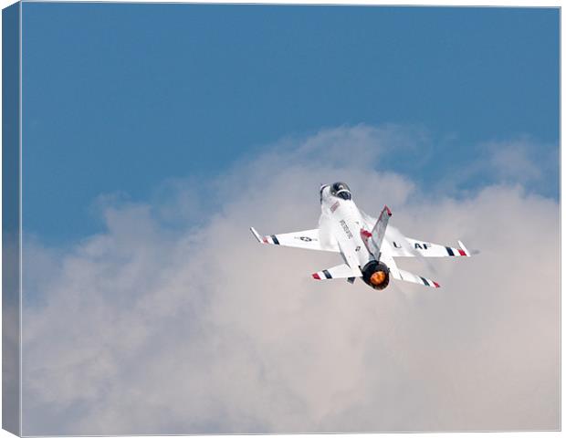 Thunderbird Canvas Print by Robert Geldard