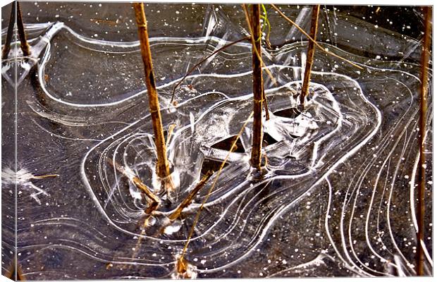 Ice Maze Canvas Print by Ray Fidler