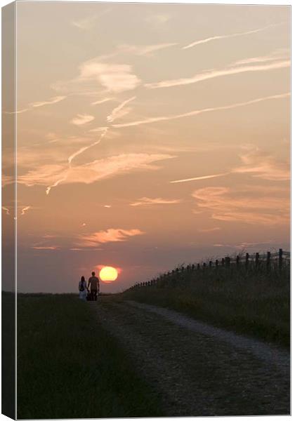 Sunset lovers Canvas Print by Ray Fidler