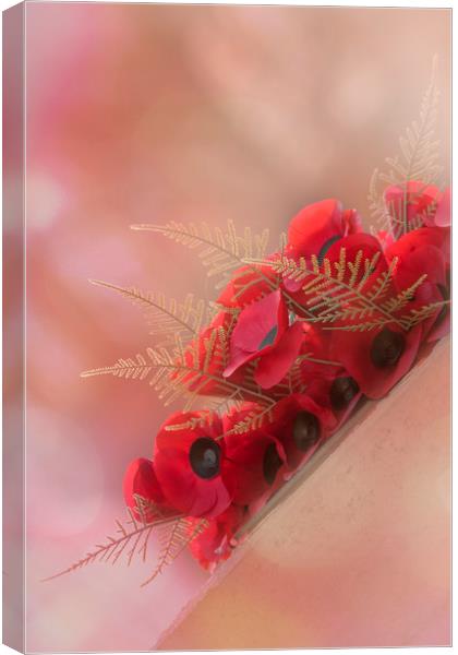 Lest We Forget Canvas Print by Dianne 