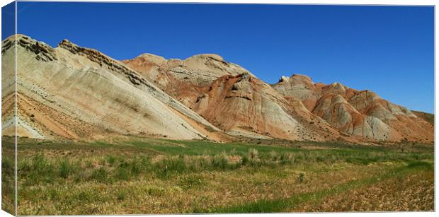 Nice Mountains and sunny weather Canvas Print by Shervin Moshiri