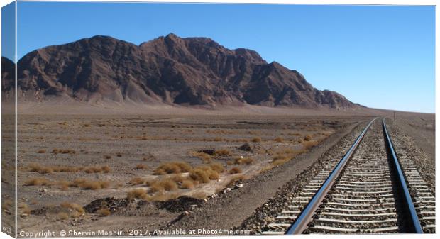 Rail Road in the Desert Canvas Print by Shervin Moshiri