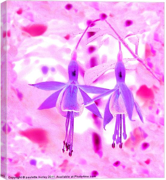 Two Purple + Pink Fuchsia,s Embossed. Canvas Print by paulette hurley