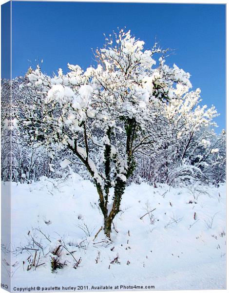 Simplicity Snow Tree. Canvas Print by paulette hurley