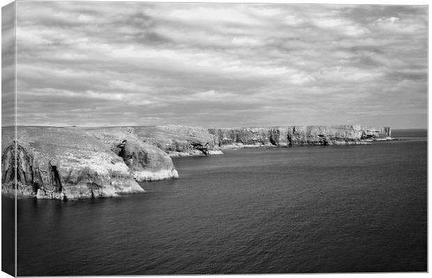 Stackpole Headland.Pembrokeshire.B+W. Canvas Print by paulette hurley