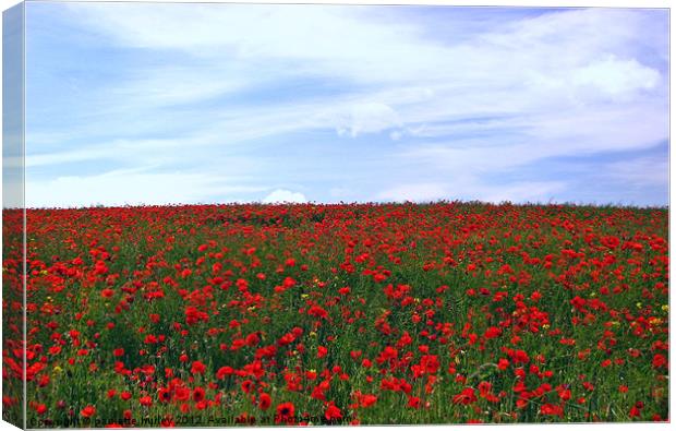 Red Poppy Field.Pembrokeshire. Canvas Print by paulette hurley