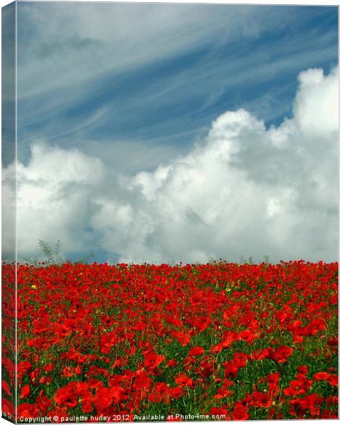 Poppy Field in Bloom.Pembrokeshire. Canvas Print by paulette hurley