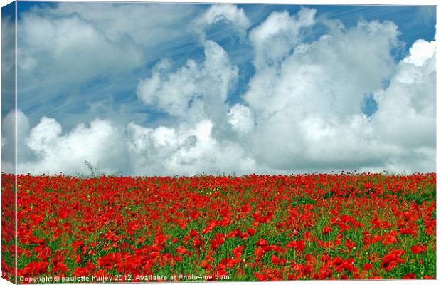 Poppy Field.Pembrokeshire. Canvas Print by paulette hurley