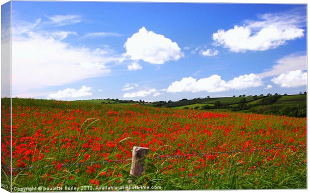 Poppy Field 2.Pembrokeshire. Canvas Print by paulette hurley