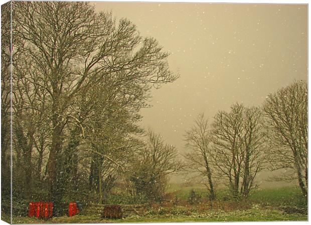 Lydstep Snow-Tenby-Pembrokeshire. Canvas Print by paulette hurley