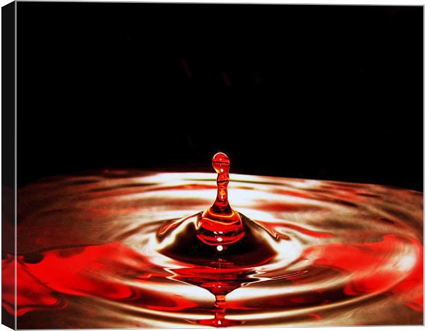 Water Droplet Canvas Print by paulette hurley