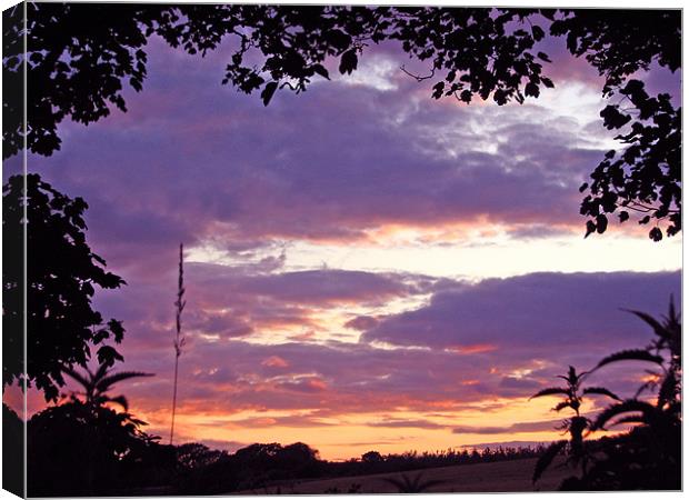 Sun Setting at Lydstep,Pembrokeshire.Wales. Canvas Print by paulette hurley