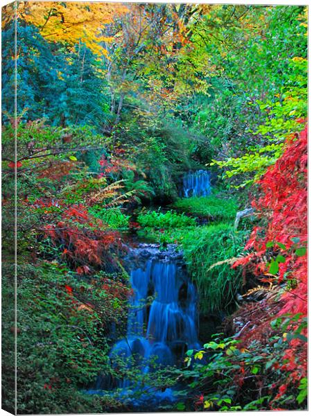 Autumn Waterfalls. Canvas Print by paulette hurley