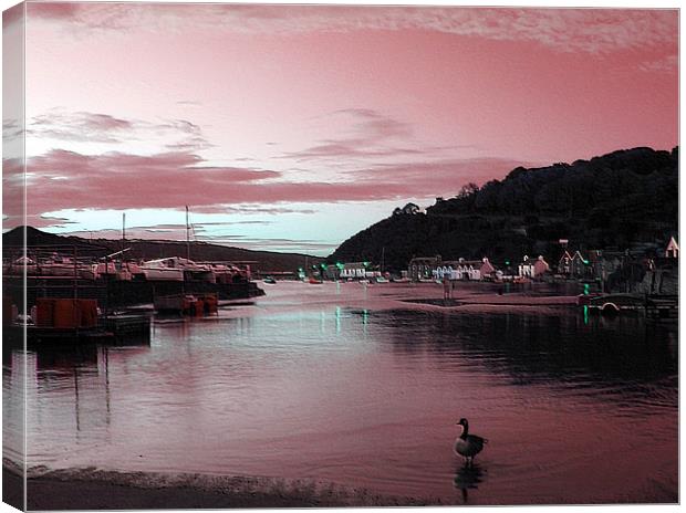 Lower Town.Fishguard. Canvas Print by paulette hurley