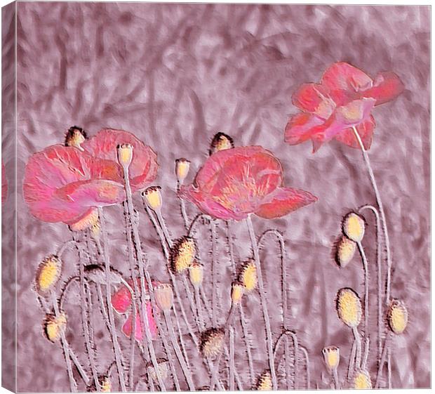 Poppy Art. Canvas Print by paulette hurley