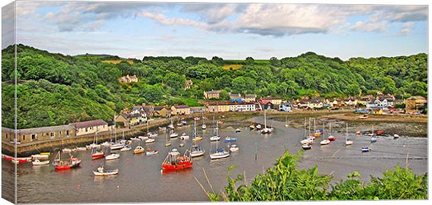 Fishguard Harbour By Day.Wales. Canvas Print by paulette hurley