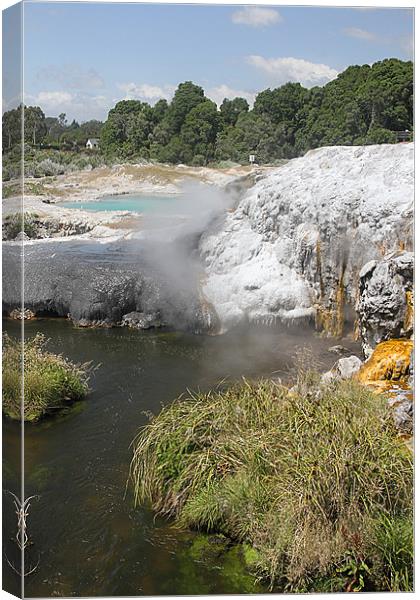 The Steaming Mineral Pools of Rotorua. Canvas Print by Gill Allcock