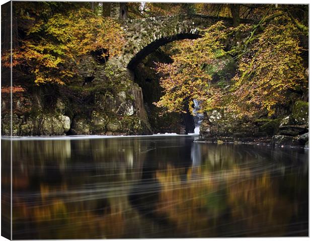 The Hermitage , Dunkeld, Perthshire, scotland Canvas Print by David Mould
