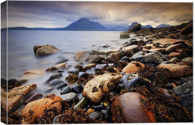 The Black Cullins from Elgol Canvas Print by David Mould