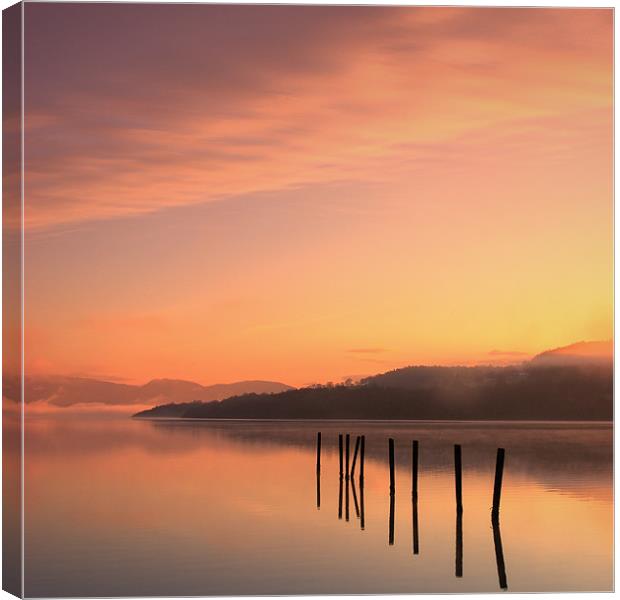 Loch Lomond from Duck Bay Canvas Print by David Mould