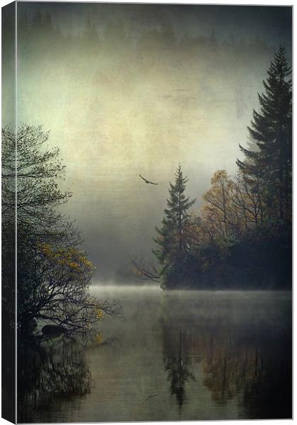 Land of the Raptors... Canvas Print by David Mould