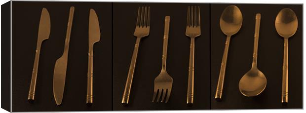 Cutlery Triptych Canvas Print by Peter Elliott 