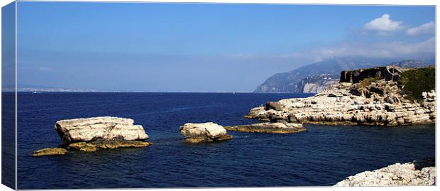 Bay of Naples Canvas Print by Peter Elliott 