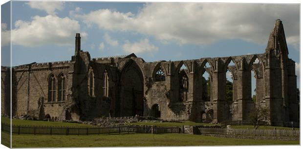 Bolton Abbey Priory Canvas Print by Peter Elliott 